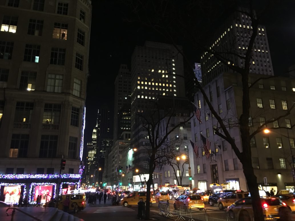 2016 Fifth Avenue Holiday