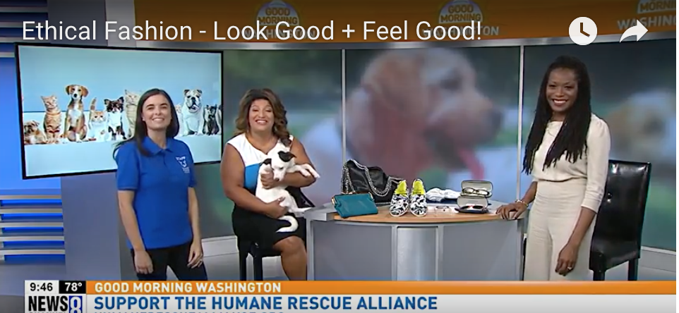 Check out my segment on ABC 7's Good Morning Washington about Ethical Fashion & Animal Rescue! - Roxanne Carne | Personal Stylist